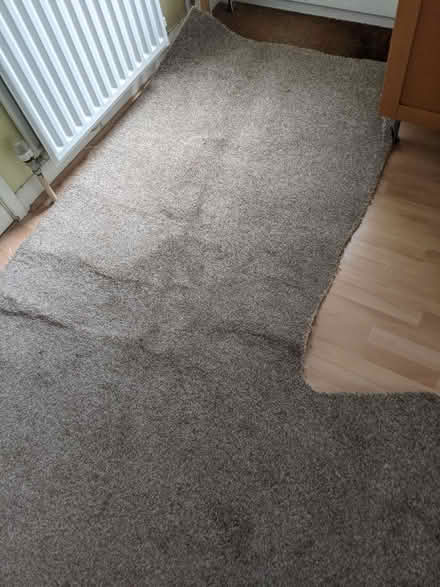 Photo of free Carpet Offcut (Banstead SM7) #4