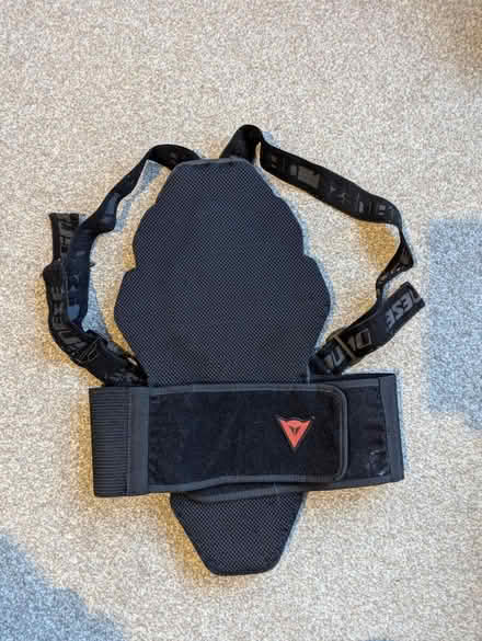 Photo of free Snowboard back protector (Bear Flat, Bath BA24) #2