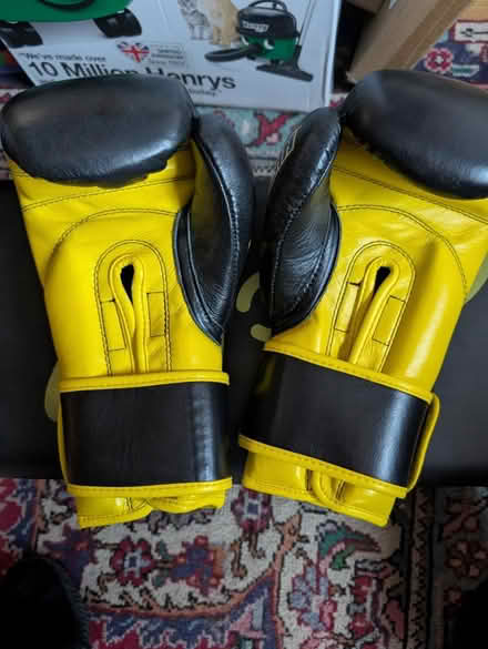Photo of free Training Boxing Gloves (Neasden NW10) #1