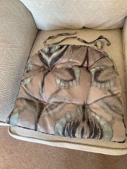 Photo of free Cushion with ties (Stevenage, pin green SG1) #2