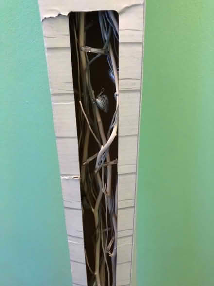 Photo of free White heart twigs (Whitegrove RG42) #1