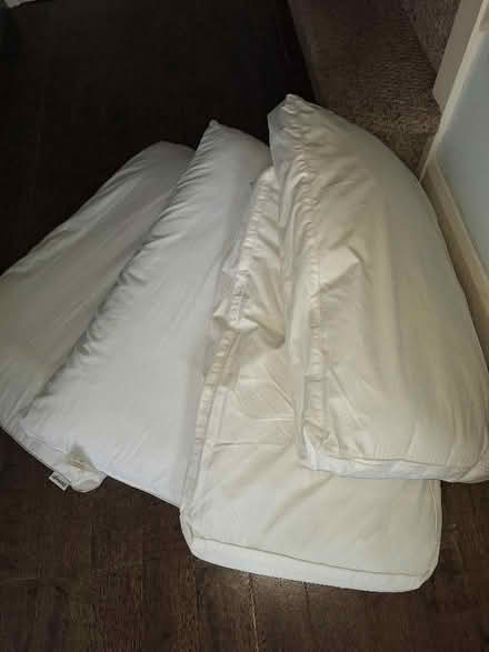 Photo of free 4 polyester pillows. (Malvern Link WR14) #1