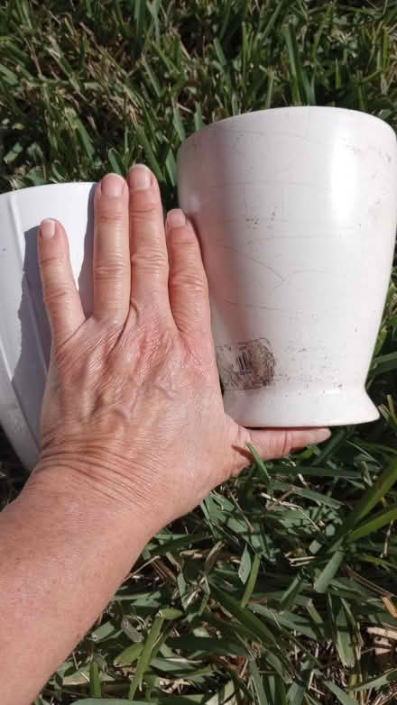 Photo of free 5 small planters (Western Lake Worth) #4