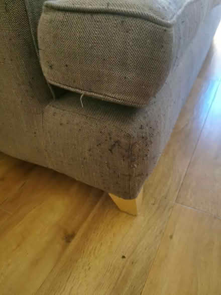 Photo of free 3 seater multiyork sofa (Withington M20) #2