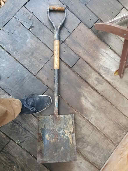 Photo of free Spade (E5) #2