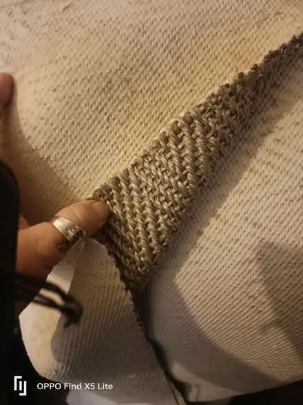 Photo of free Carpet (Clifton wood) #1