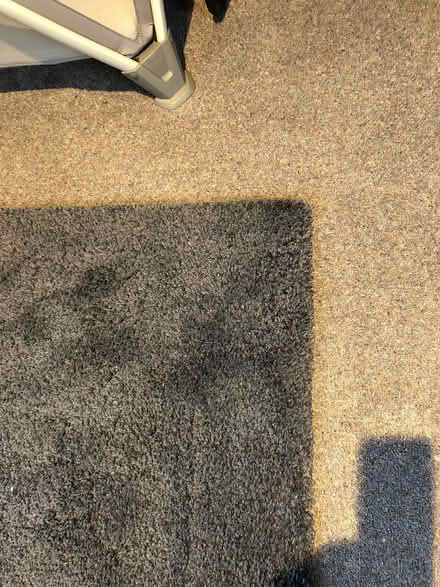 Photo of free Rugs x 2 , 240 x 175 cm approx (Midhurst, West Sussex) #3