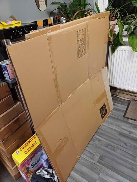 Photo of free Packing boxes (Trewoon) #1