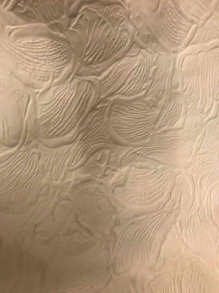 Photo of free Length of plain wallpaper (Woodley RG5) #1