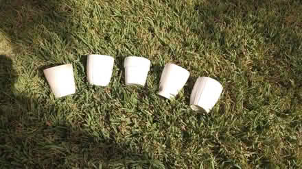 Photo of free 5 small planters (Western Lake Worth) #1