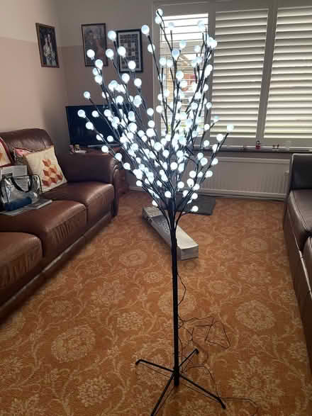 Photo of free Christmas Berry light tree (Maldon CM9) #1