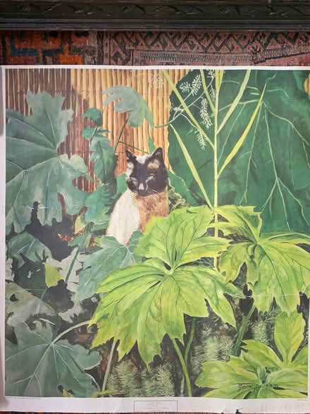 Photo of free Cat picture (Sharrow, Sheffield S7) #1
