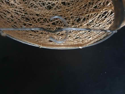 Photo of free Light shade (Manor Road N17) #2