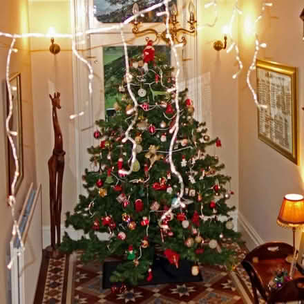 Photo of free Large, artificial Christmas Tree (Natland LA9) #1