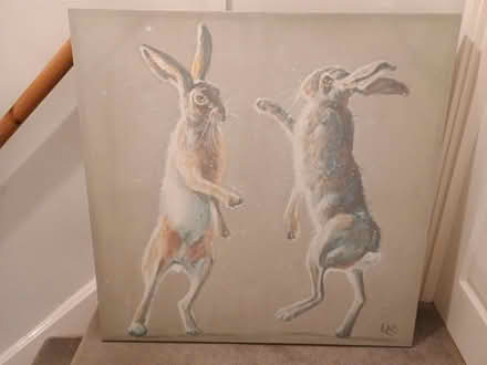 Photo of free Picture of 2 hares (Bristol BS7) #1