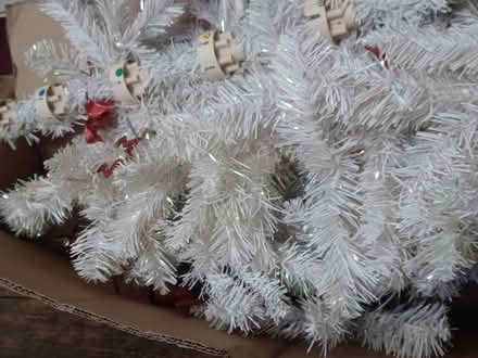 Photo of free Christmas tree (Central Watford WD18) #1