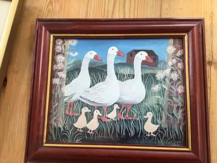 Photo of free Picture of ducks (ME14) #1