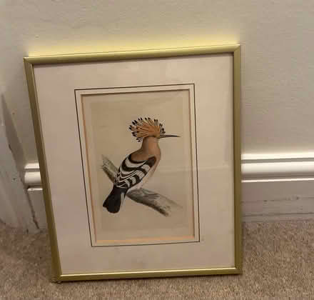 Photo of free 3 framed picture (Chiswick W4) #1