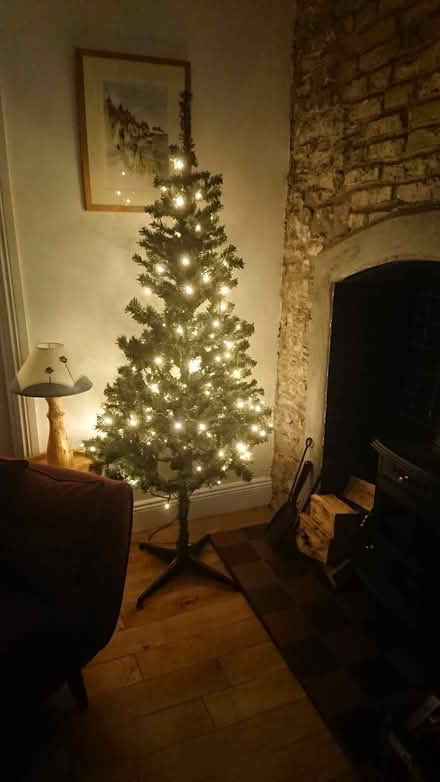 Photo of free Artificial Christmas Tree (Cork city centre) #1