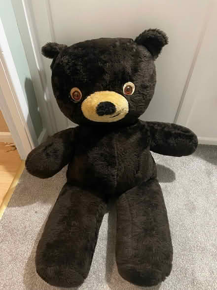 Photo of free Enormous teddy (Upton CH49) #1