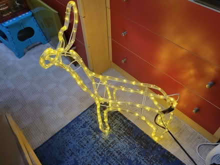 Photo of free Light up Christmas Deer (Courtlands WD25) #1