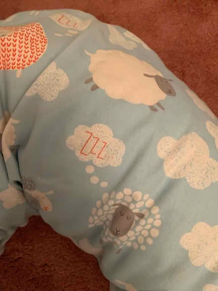 Photo of free Maternity pillow (Addlestone) #2