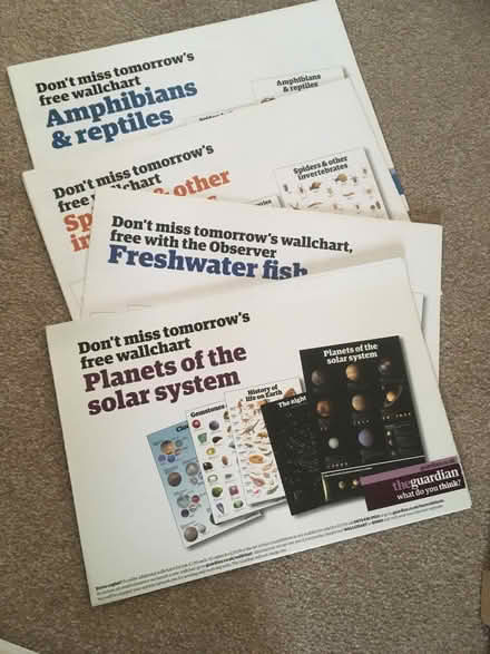 Photo of free The Guardian wall-charts bagful (New Hinksey OX1) #1