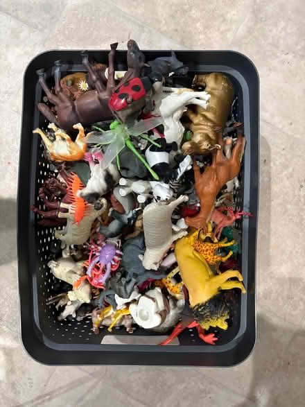Photo of free Toy animals (Katherines CM19) #1