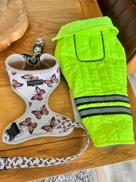 Photo of free Small dog/ pup harness and coat (CH42 Tranmere) #1