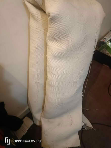 Photo of free Carpet (Clifton wood) #2