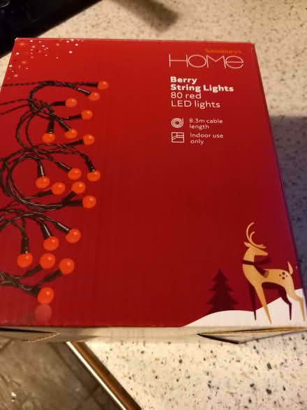 Photo of free Berry string lights (Watton at Stone SG14) #1