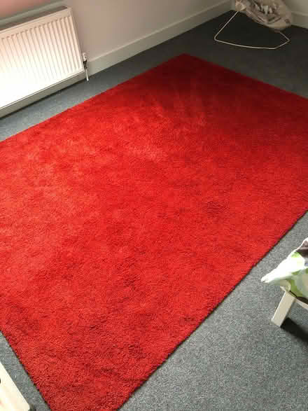 Photo of free Rugs x 2 , 240 x 175 cm approx (Midhurst, West Sussex) #1