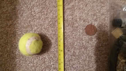 Photo of free small tennis ball (Crosspool S10) #1