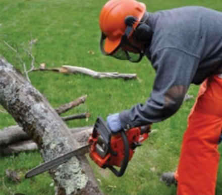 Photo of firewood (Harefield UB9) #1