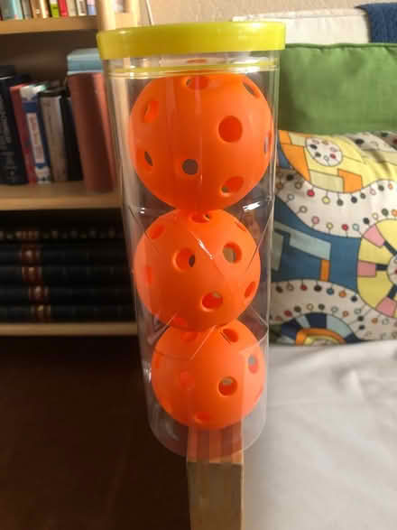 Photo of free Indoor pickle balls (Fremont near Gomes Elementary) #1