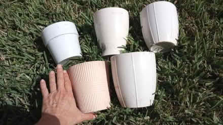 Photo of free 5 small planters (Western Lake Worth) #3