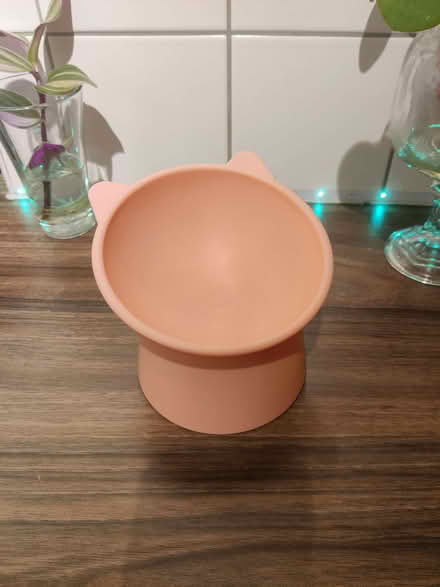 Photo of free x4 tilting cat food bowls (Clerkenwell WC1X) #1