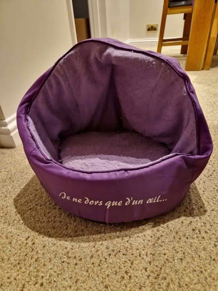 Photo of free Cat bed (Culham OX14) #1