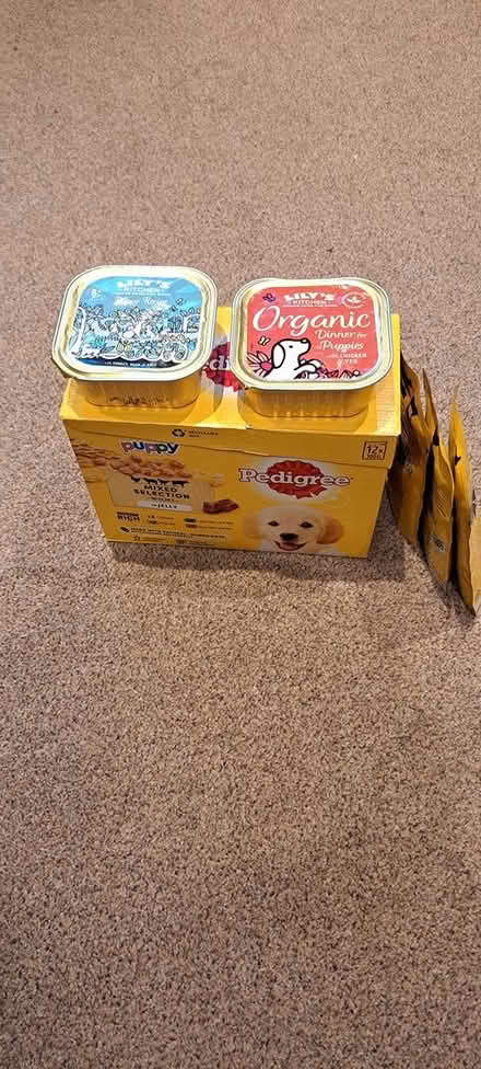 Photo of free Puppy food (Eckington s21) #1