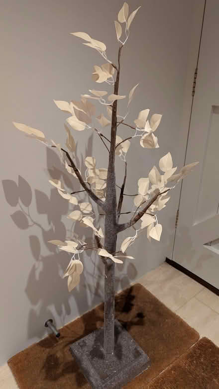 Photo of free Pair of M&S Winter Leaf Trees (Ivinghoe Aston LU7) #1