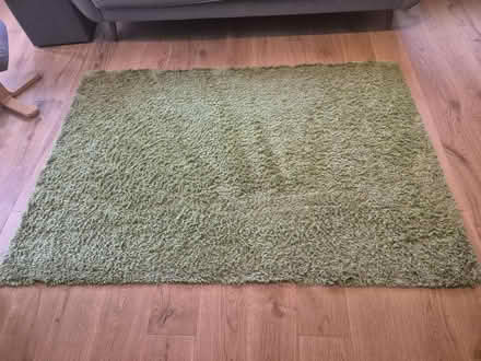 Photo of free Green IKEA rug (Southbourne) #2