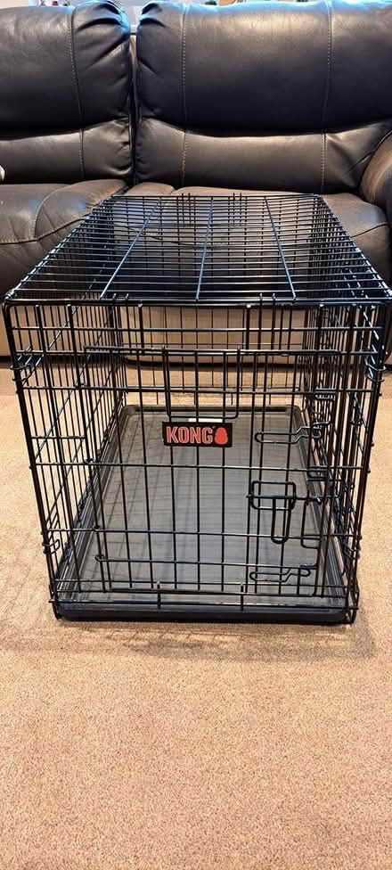 Photo of free Dog create (Eckington s21) #2