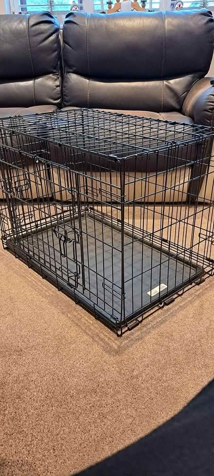 Photo of free Dog create (Eckington s21) #1