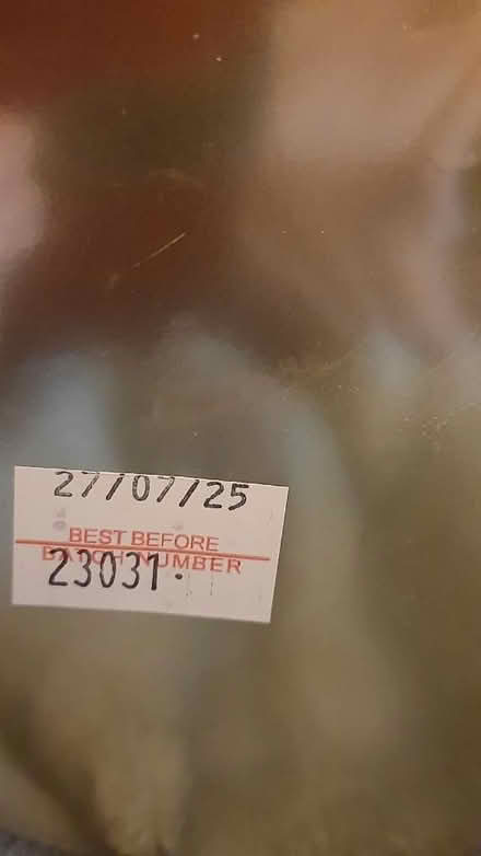 Photo of free BN Christmas Pudding (Maybury Hill GU22) #2