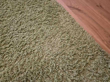 Photo of free Green IKEA rug (Southbourne) #1