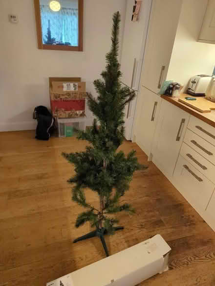 Photo of free 150cm Christmas Tree (Northcourt OX14) #1