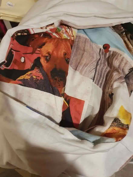 Photo of free Single duvet inside a cover (Westhill AB32) #1