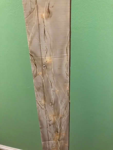 Photo of free White heart twigs (Whitegrove RG42) #3