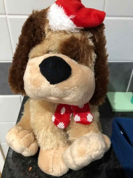 Photo of free Singing dog (Whitegrove RG42) #1