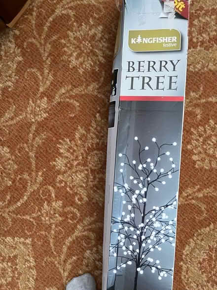 Photo of free Christmas Berry light tree (Maldon CM9) #2